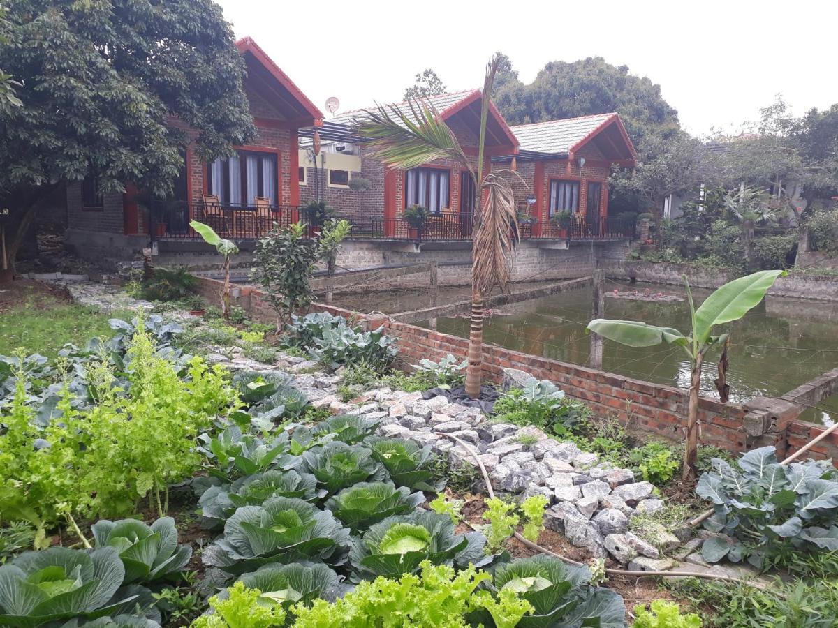 Chez Hiep Tam Coc Homestay Ninh Binh Exterior photo